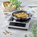  CASO ProChef 3500 ���� ��������� ����� 3,5kW 