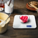  CASOLX20 ������� �������� 20 kg 