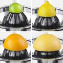  CASO CP 200     0,16 kW 