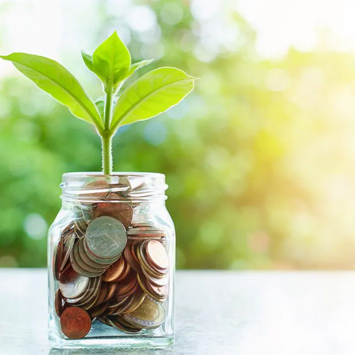  ������������� ������������ 